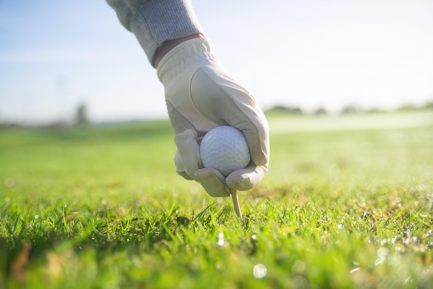 photo article Golf - catégorie activités d'algarve